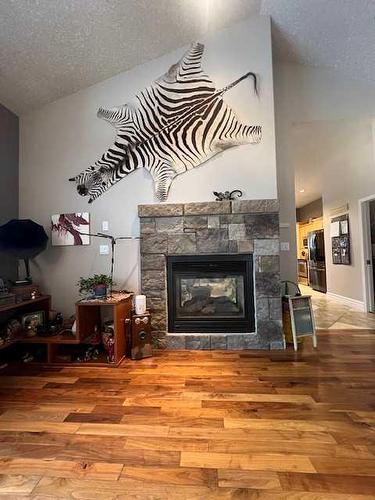 7 Chinook, High Level, AB - Indoor Photo Showing Living Room With Fireplace