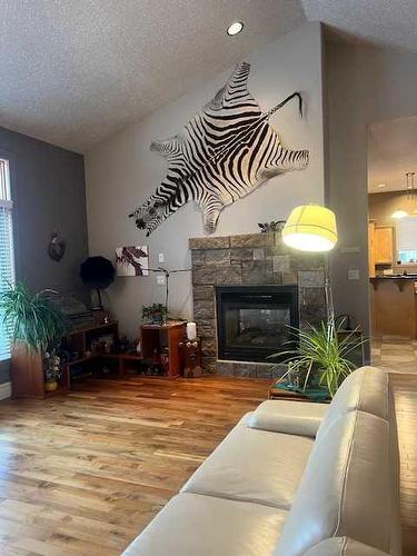 7 Chinook, High Level, AB - Indoor Photo Showing Living Room With Fireplace