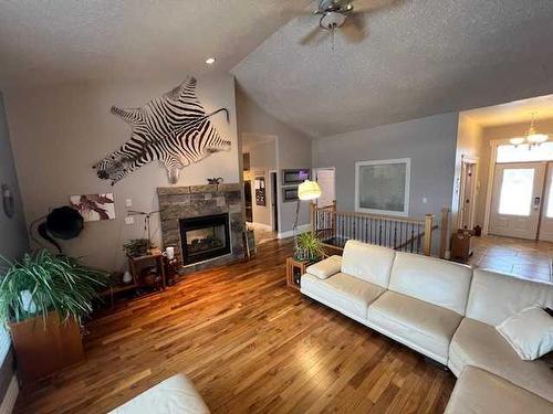 7 Chinook, High Level, AB - Indoor Photo Showing Living Room With Fireplace