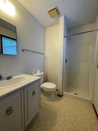 308 4Th Avenue, Kinuso, AB - Indoor Photo Showing Bathroom