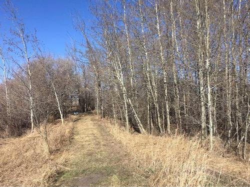 55046 725 Township, Rural Grande Prairie No. 1, County Of, AB - Outdoor With View