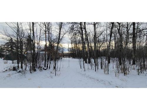 79220 2 Highway, Rural Smoky River No. 130, M.D. Of, AB - Outdoor With View