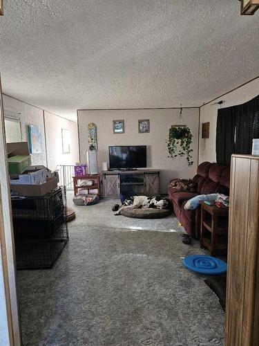 21-Coolsprings Trailer Park, Peace River, AB 