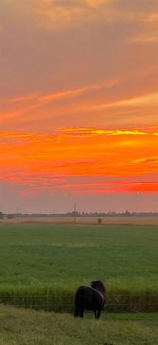 75132 181 Range, High Prairie, AB - Outdoor With View