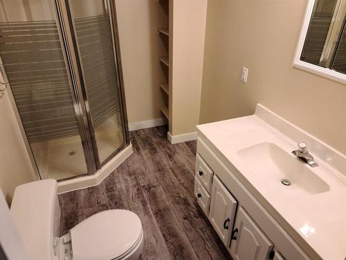 8114 96 Street, Peace River, AB - Indoor Photo Showing Bathroom