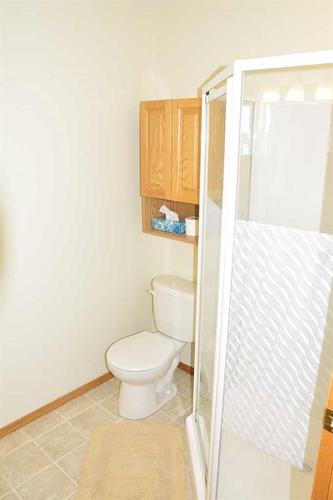 4429 54 Street, Grimshaw, AB - Indoor Photo Showing Bathroom