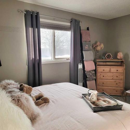 8209 102 Avenue, Peace River, AB - Indoor Photo Showing Bedroom