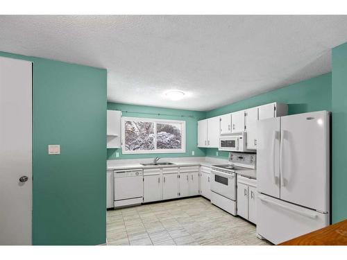 9810 80 Avenue, Grande Prairie, AB - Indoor Photo Showing Kitchen With Double Sink