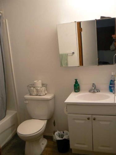 74504 172 Range, High Prairie, AB - Indoor Photo Showing Bathroom