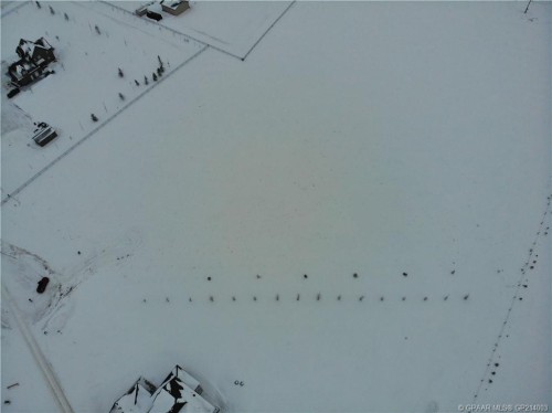 51 721022 Range Road 54, Rural Grande Prairie No. 1, County Of, AB 