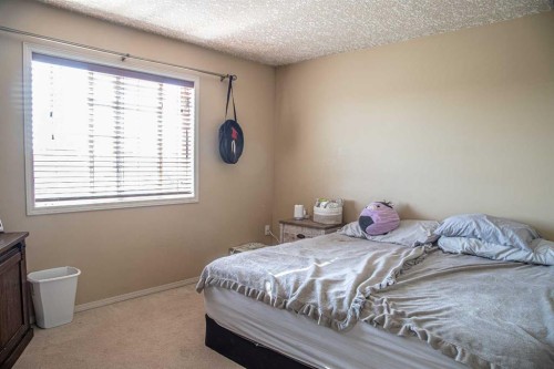 10808 100 Avenue, High Level, AB - Indoor Photo Showing Bedroom
