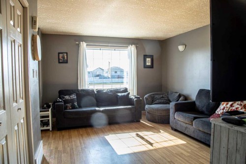 10808 100 Avenue, High Level, AB - Indoor Photo Showing Living Room