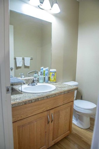 10808 100 Avenue, High Level, AB - Indoor Photo Showing Bathroom