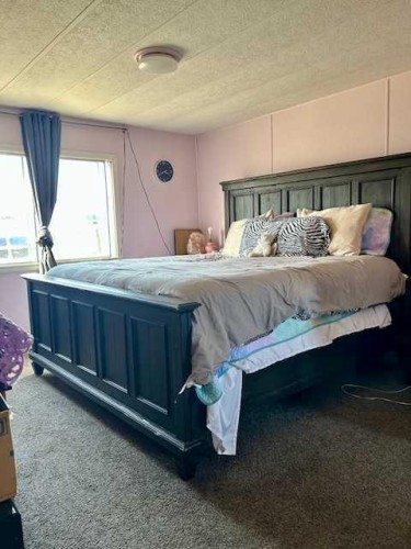 4600 53 Avenue, Grimshaw, AB - Indoor Photo Showing Bedroom