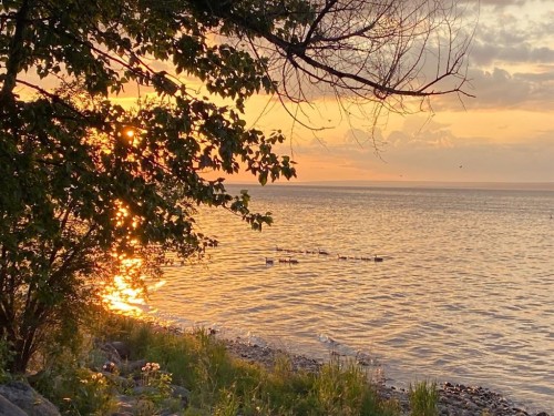 75 Peace River Avenue, Joussard, AB - Outdoor With Body Of Water With View