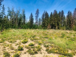 4802 47 Avenue  Fort Vermilion, AB T0H 1N0