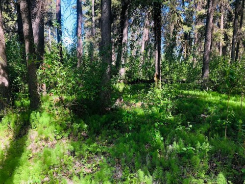 4802 47 Avenue, Fort Vermilion, AB 