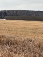 3-1-2121458 242A Range  Rural Birch Hills County, AB T0H 3R0