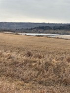 2-1-2121458 242A Range  Rural Birch Hills County, AB T0H 3R0