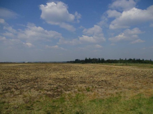 920072 Rge Rd 232, Rural Northern Lights, County Of, AB 