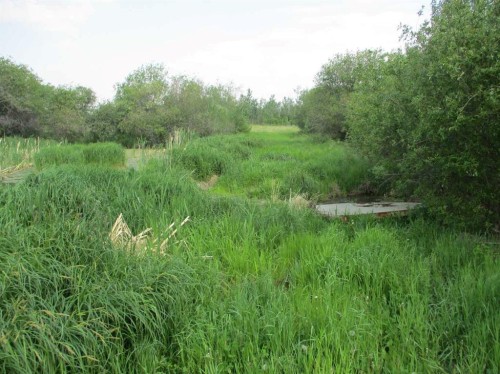 920072 Rge Rd 232, Rural Northern Lights, County Of, AB 