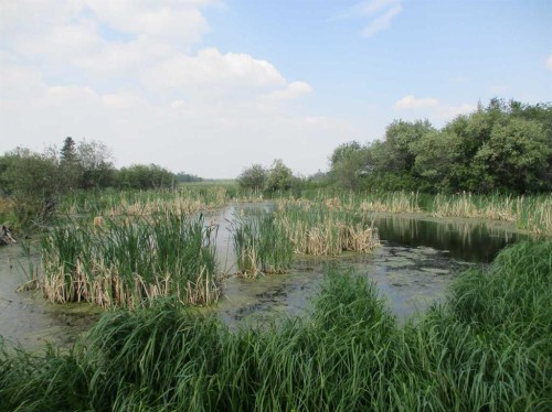 920072 Rge Rd 232, Rural Northern Lights, County Of, AB 