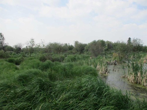 920072 Rge Rd 232, Rural Northern Lights, County Of, AB 