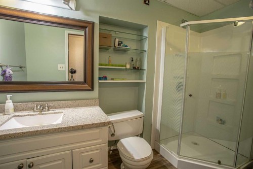 110035 Range Road 183, Rural Mackenzie County, AB - Indoor Photo Showing Bathroom