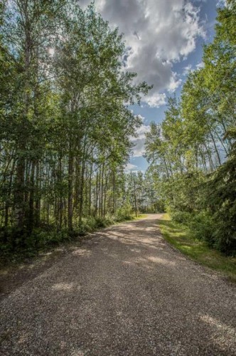 110035 Range Road 183, Rural Mackenzie County, AB - Outdoor With View
