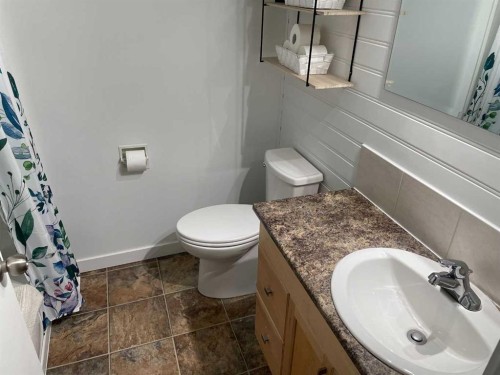 10605 107 Street Close, Fairview, AB - Indoor Photo Showing Bathroom