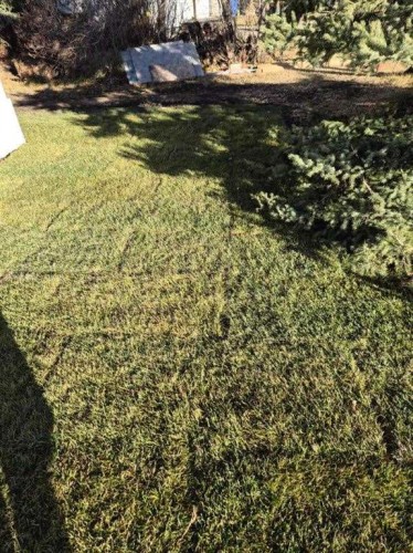 1111 7Th Avenue, Beaverlodge, AB - Outdoor With View