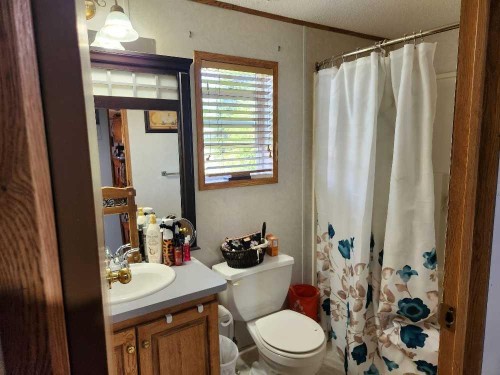 46 5812 Street Nw, High Prairie, AB - Indoor Photo Showing Bathroom