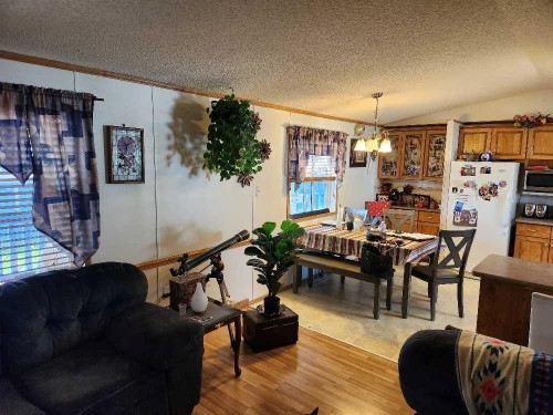46 5812 Street Nw, High Prairie, AB - Indoor Photo Showing Living Room