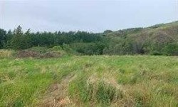 8201 98 Street  Peace River, AB T8S 1S4