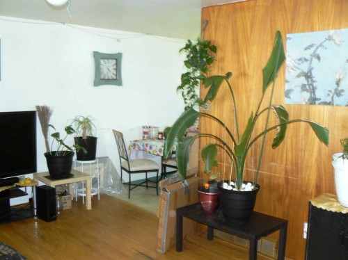 4836 55 Avenue, High Prairie, AB - Indoor