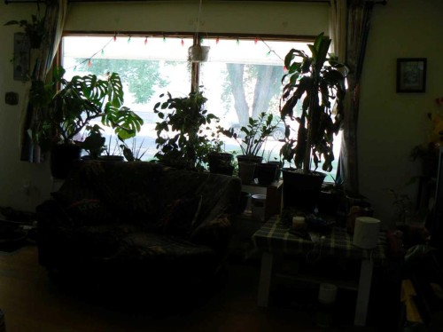 4836 55 Avenue, High Prairie, AB - Indoor Photo Showing Other Room