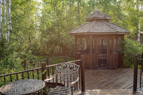 13 Chinook Crescent, High Level, AB - Outdoor With Deck Patio Veranda