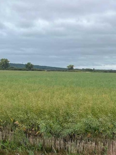 892021-221 Range Road, Rural Northern Lights, County Of, AB 