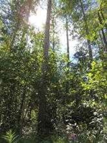 Lot #20 Wapiti River Sw-21-69-10-W6, Rural Grande Prairie No. 1, County Of, AB 