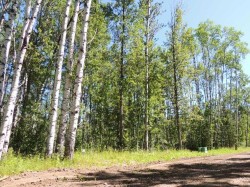 Lot #20 Wapiti River SW-21-69-10-W6  Rural Grande Prairie No. 1, County Of, AB T0H 1J0