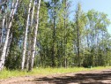 Lot #20 Wapiti River Sw-21-69-10-W6, Rural Grande Prairie No. 1, County Of, AB 