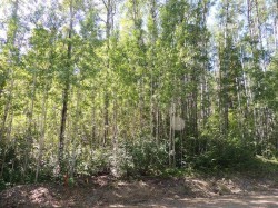Lot #11 Wapiti River SW-21-69-10-W6  Rural Grande Prairie No. 1, County Of, AB T0H 1J0
