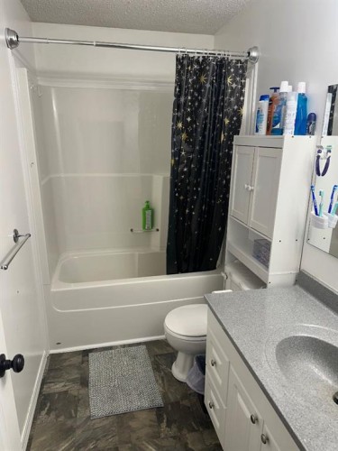 4718 49 Avenue, Grimshaw, AB - Indoor Photo Showing Bathroom