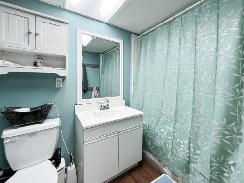 21 Erlam Street, Mclennan, AB - Indoor Photo Showing Bathroom