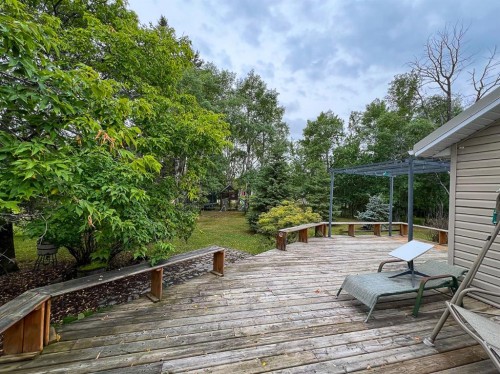 21 Erlam Street, Mclennan, AB - Outdoor With Deck Patio Veranda