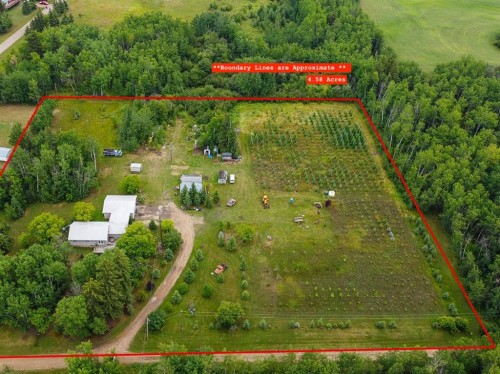 21 Erlam Street, Mclennan, AB - Outdoor With View
