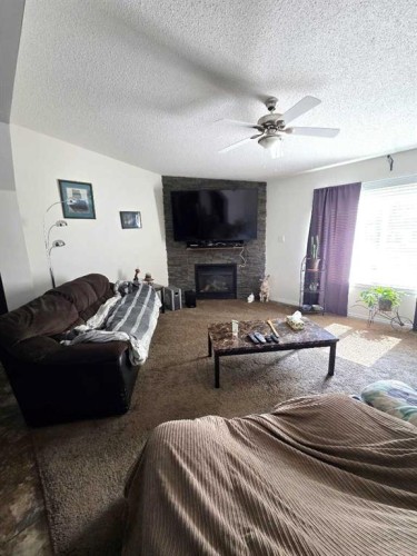 4732-55 Avenue, High Prairie, AB - Indoor Photo Showing Living Room With Fireplace