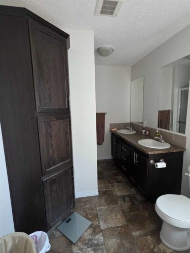 4732-55 Avenue, High Prairie, AB - Indoor Photo Showing Bathroom