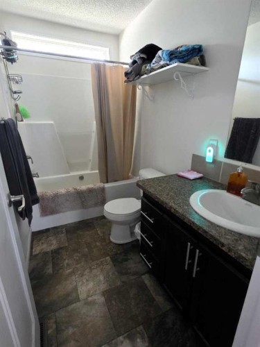 4732-55 Avenue, High Prairie, AB - Indoor Photo Showing Bathroom