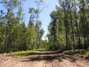 Lot 27-Wapiti River Sw-21-69-10-W6, Rural Grande Prairie No. 1, County Of, AB 